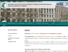 Tablet Screenshot of iephb.ru